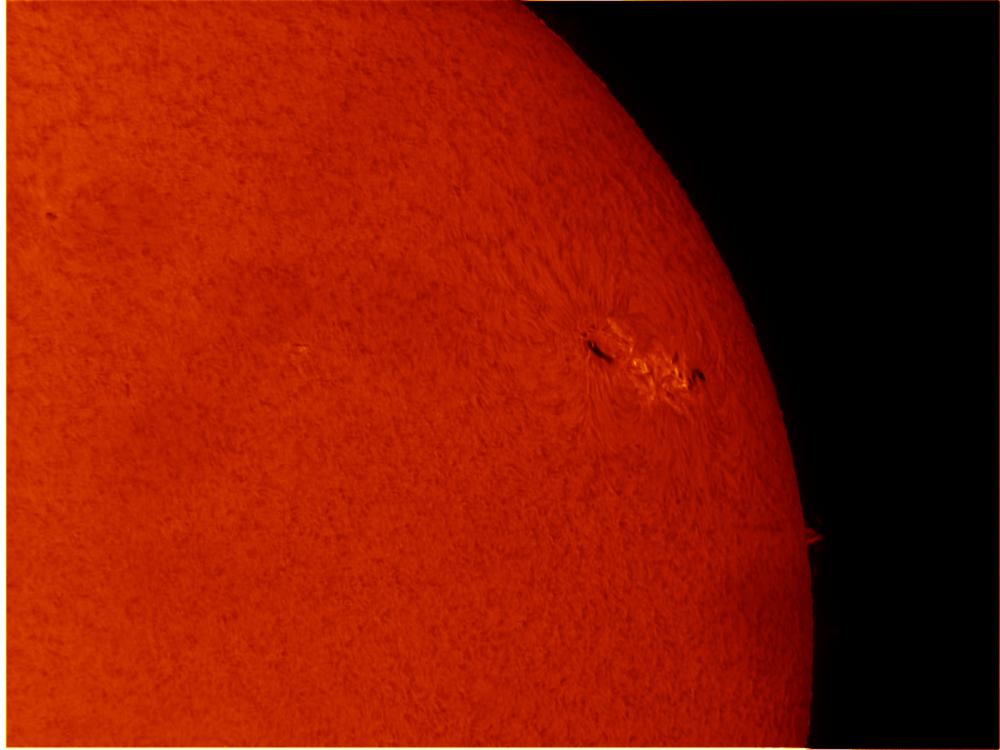 Partial disk view of the Sun's chromosphere highlighting a large sunspot, identifiable by the dark and lighter spots visible near the edge of the disk.