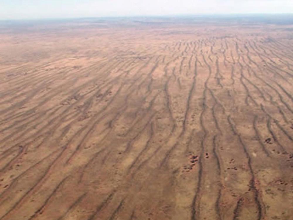 Simpson Desert