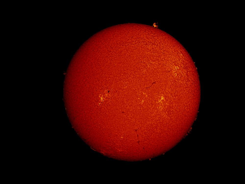 Disk view of the Sun's atmosphere. A large sunspot (dark spot) cluster is visible on the left side of the disk surrounded by lighter-colored clouds called phages. Other phages are visible across the disk. A large, red-colored gas is floating off the top right of the Sun's visible surface and is called a prominence.