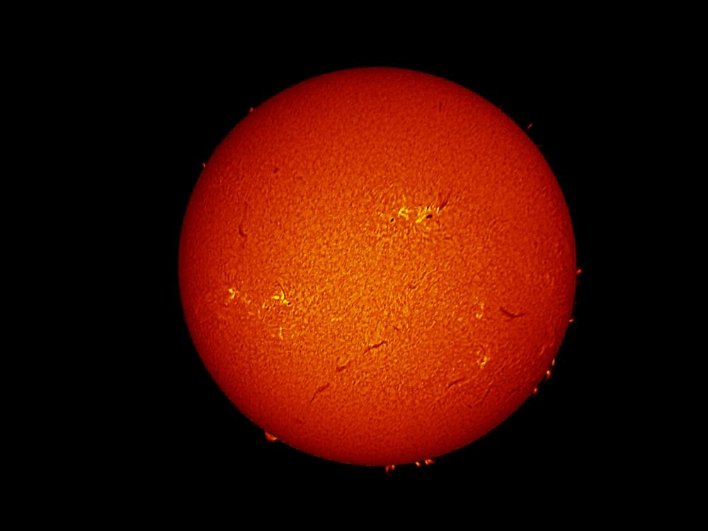 Disk view of the Sun's atmosphere. A large sunspot group is visible in the upper right quadrant as a large dark spot surrounded by lighter-colored phages. Other phages, darker lines called filaments, and floating gases from the edge of the disk called filaments are visible primarily on the bottom half of the disk.