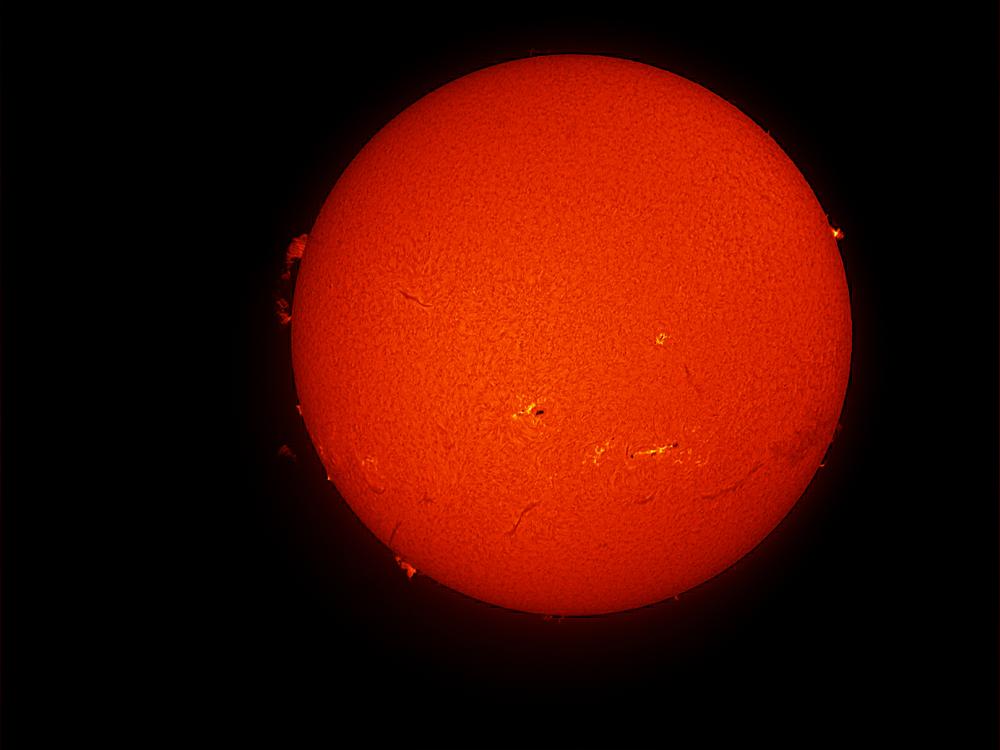 Disk view of the Sun's atmosphere. Several prominences, or red puffs of gases rising above the atmosphere of the Sun on the edge of the disk, are visible throughout the disk. Two sunspot clusters are visible with dark spots surrounded by lighter-colored phages on the bottom half of the disk.