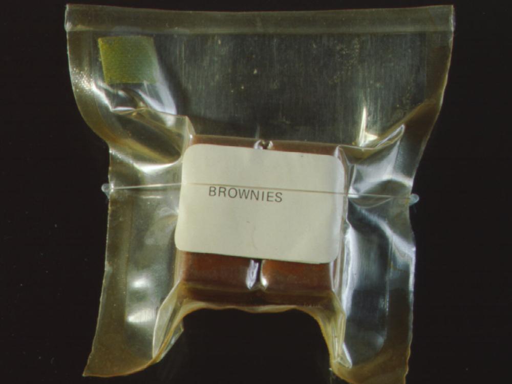 Apollo Space Food Brownies