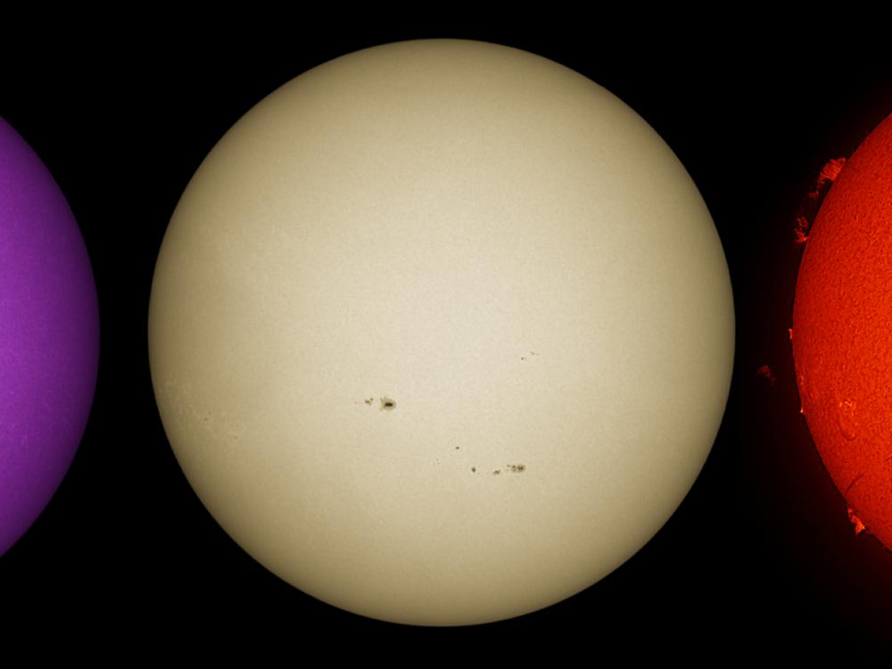 Three side-by-side disk views of the Sun. The left disk features sunspots visible through magnetic fields and they appear as dark spots surrounded by lighter spots called phages. The middle disk reveals the sunspots visible on the surface of the Sun. The right disk reveals the sunspots as dark spots surrounded by lighter-coloured phage clouds in the Sun's atmosphere. Prominences of gases floating off the edges of the disk are also visible.