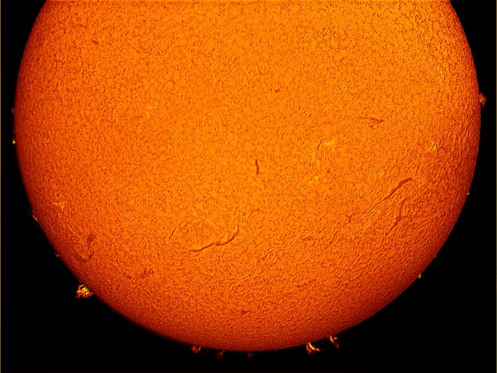 Partial disk view of the Sun's atmosphere. Many prominences (gases floating away from the sphere) and filaments (dark lines) can be seen across the lower, visible half of the disk.