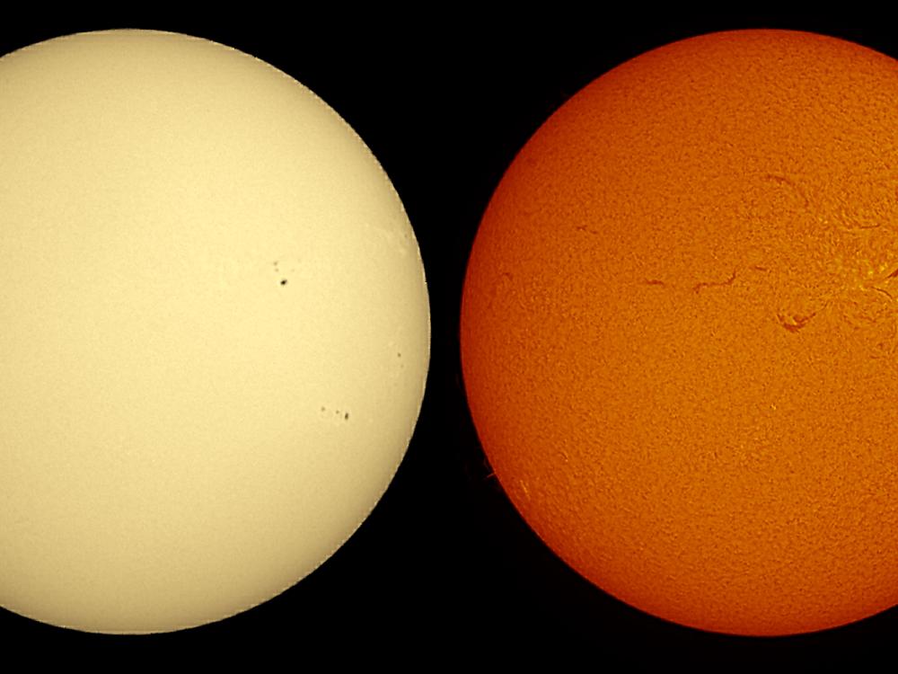 Two side-by-side disc views of the Sun. The first disc reveals the Sun's surface, lighlighting a couple of sunspots, indicated by black spots, on the right side of the disc. The second disc reveals lighter-colored areas around the sunspots called phages, and dark lines called filaments are visible across the top half of the disc.