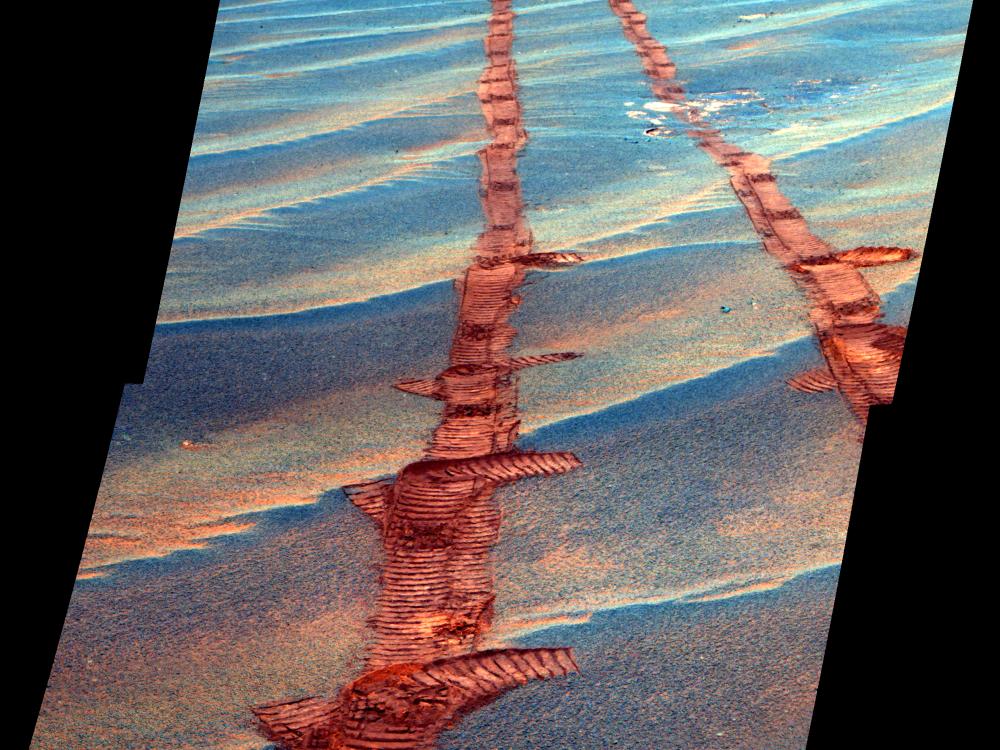 A set of tracks left by the Opportunity Rover as it traverses sand dunes on Mars.