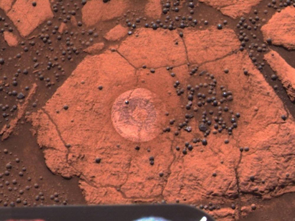 Blueberries on Mars