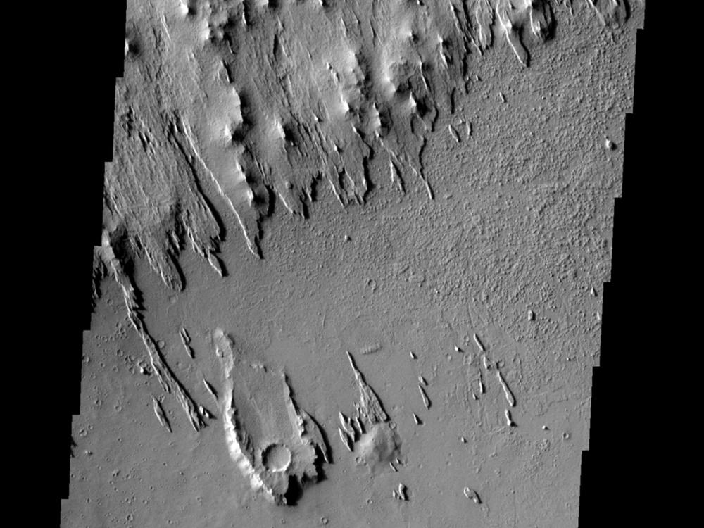 Wind Features on Mars