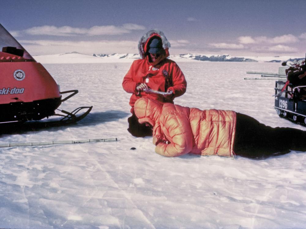 Meteorite in Antarctica