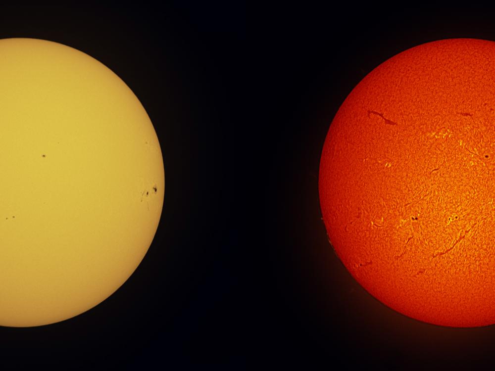 Two disk views of the Sun, side-by-side. The left disc view shows the surface of the Sun, which has a few sunspots visible as dark spots. The right disk view of the Sun features the same sunspots as well as phages (lighter color clouds). Dark lines called filaments and gases floating away from the surface called prominences are also visible on the disk.