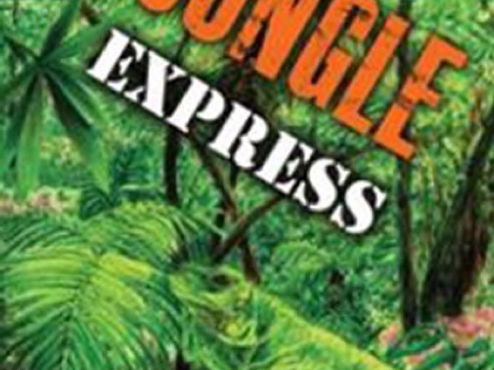 Book cover for a book about flights over jungles with a background featuring a forest with a plane flying over a clearing.