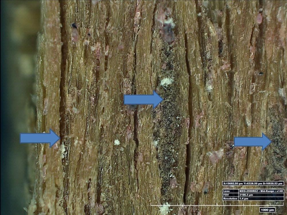 Arrows point to dark spots on a plywood sample of an aircraft.