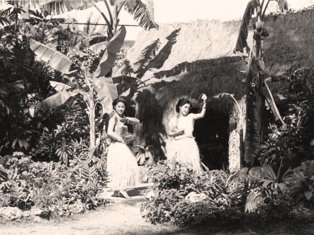 Hula Dancers