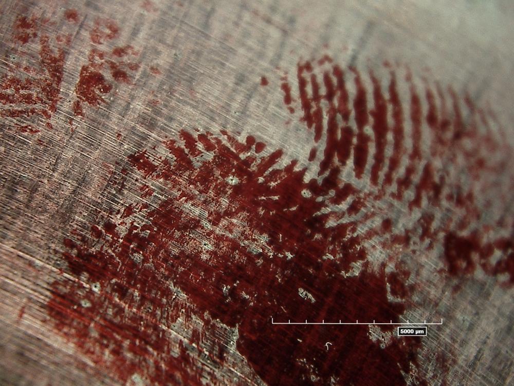 Fingerprint