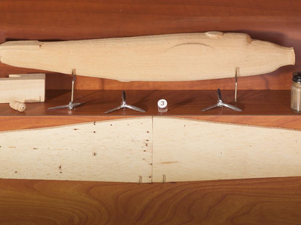 Parts and pieces of an uncomplete monoplane model kit made from solid wood.