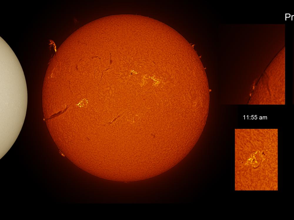 Two disk views of the Sun, side-by-side, with further panels to the right showing specific features. The left disk view reveals the Sun's surface and shows a few sunspots (dark spots). On the right disk, the Sun's chromosphere reveals filaments (dark lines of gases floating above the Sun) and prominences (floating gases above the edge of the disk) on the right side. Multiple phages (lighter cloud areas) surrounding dark spots are also visible. The set of panels reveal the highlights in a closer view.