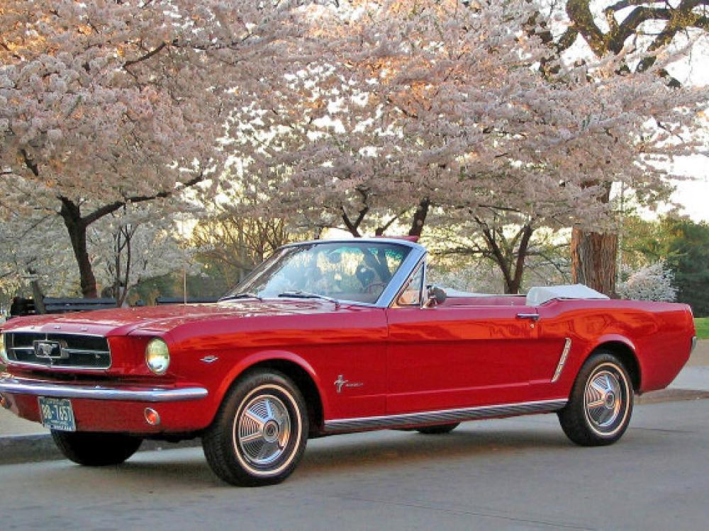 An antique red Ford Mustang is parked below cherry blossom trees on the National Mall.