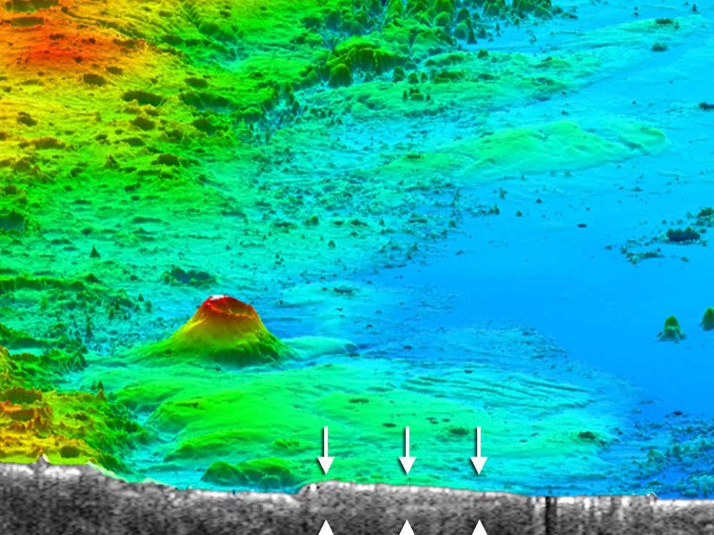 Perspective View of Medusae Fossae Formation Deposits on Mars