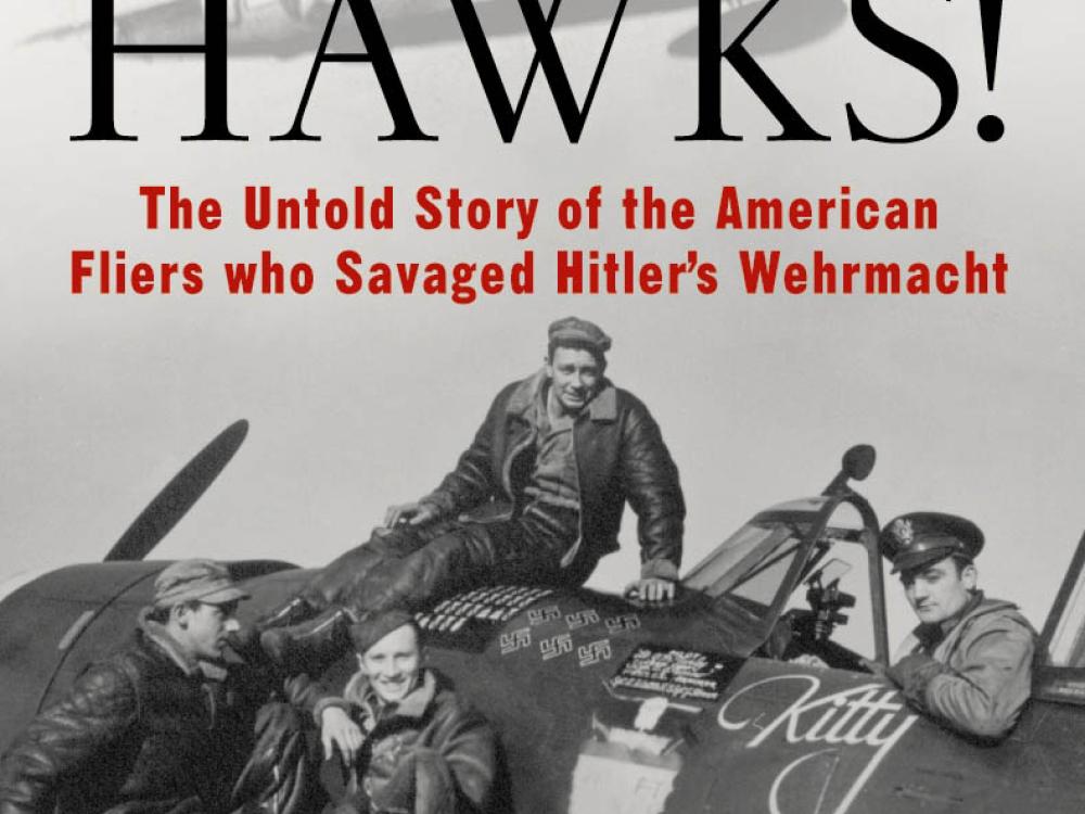 Book Cover: Hell Hawks!