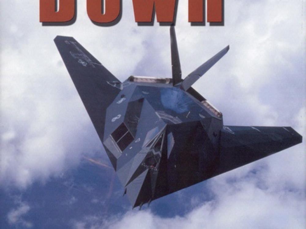 Book Cover: Stealth Down