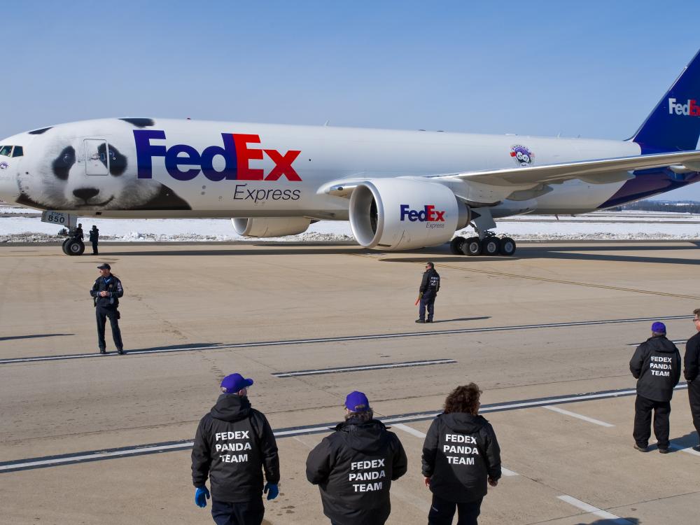 Panda Plane & Crew Awaits Transport of Tai Shan