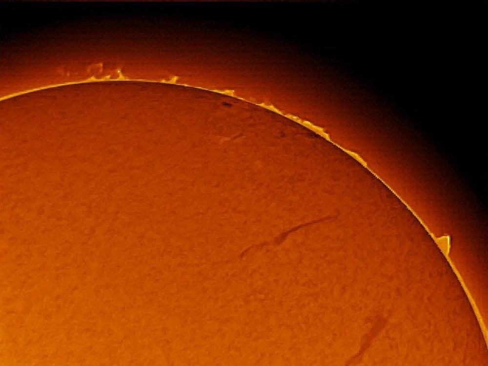 A part of the sun with prominences of plasma floating above the sphere