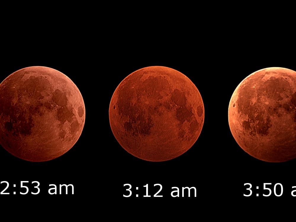 A collage of the various phases of the December 2010 lunar eclipse.