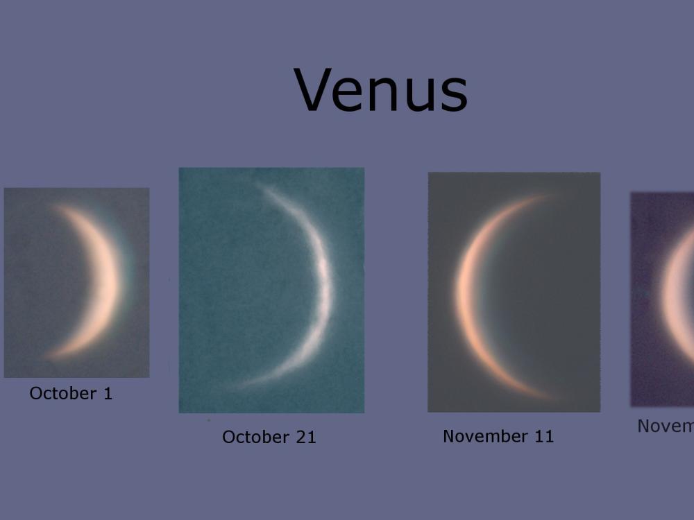 A collage of the phases of Venus visible from Earth.