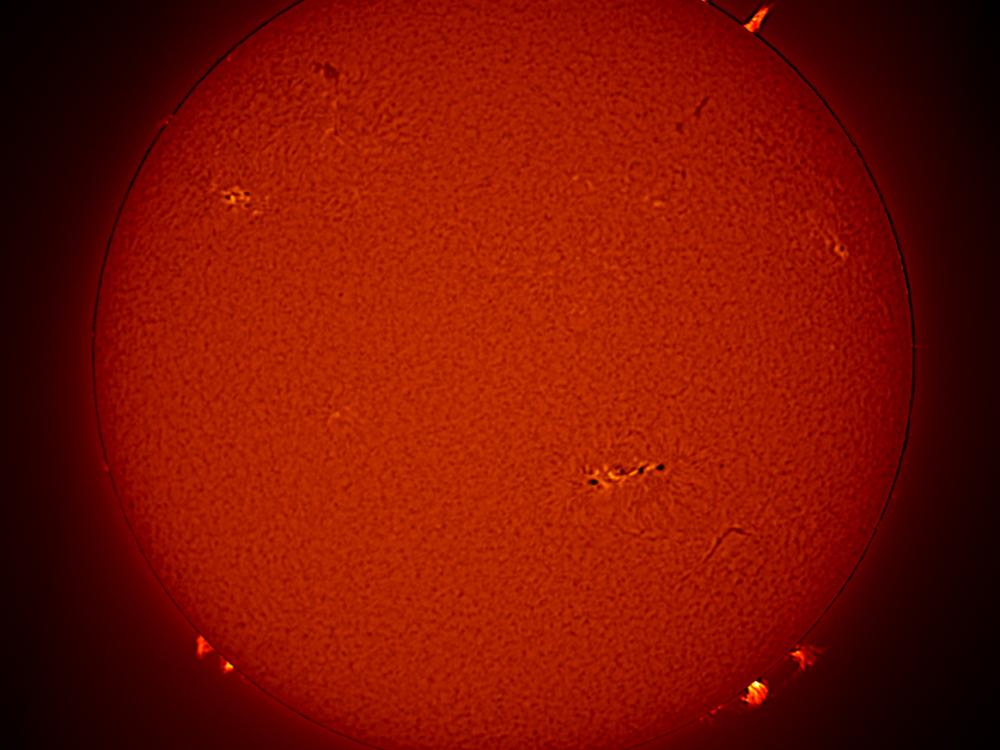 Disc view of the sun, with multiple prominences of plasma floating away from the Sun as well as sunspot clusters.