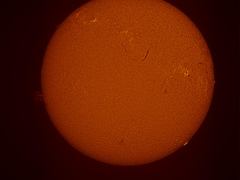 Disc image of the Sun which features prominences, sunspots, plages, and filaments throughout the disc.