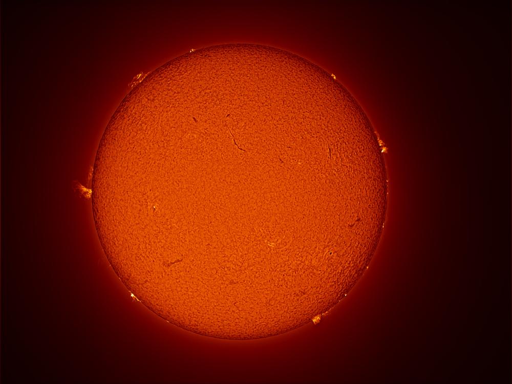 Disc view of the Sun, with multiple prominences and filaments present throughout the Sun's visible surface.