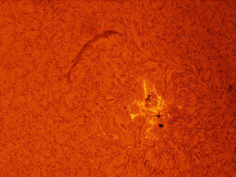 Close-up view of a sunspot group and filament visible on the Sun's surface.