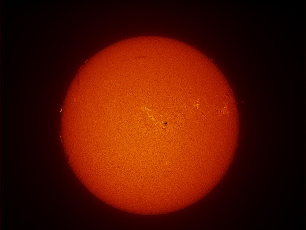 Disk view of the Sun with multiple prominences of plasma rising above the surface of the Sun and a large sunspot cluster on the top right quadrant.