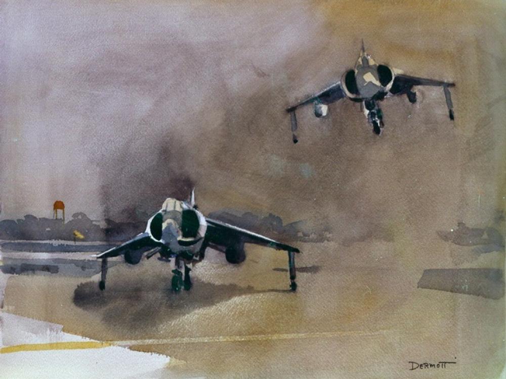 <i>Harriers, a Pair</i> in <i>Fly Marines!</i>