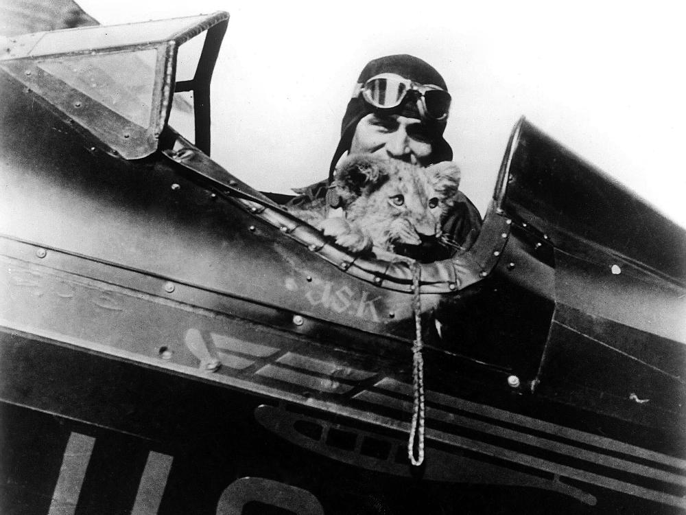 A small lion looks out from cockpit while sittting with pilot inside the open cockpit of an airplane