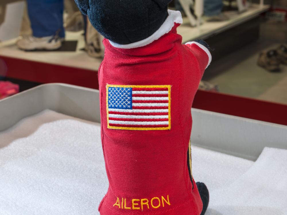 The top of Aileron's sweater with an embroidered US flag and his name in yellow.