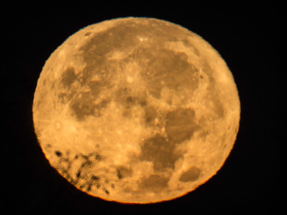 Moon takes up the complete frame and appears orange. 