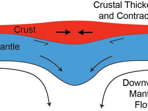 Downward mantle flow in Mercury’s mantle