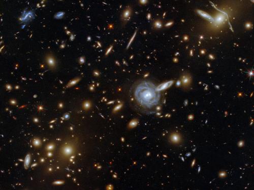 Image of space packed with a cluster of galaxies along with a few foreground stars.