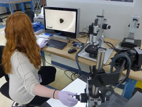 A woman sitting at a computer desk with a microscope device attached to it.