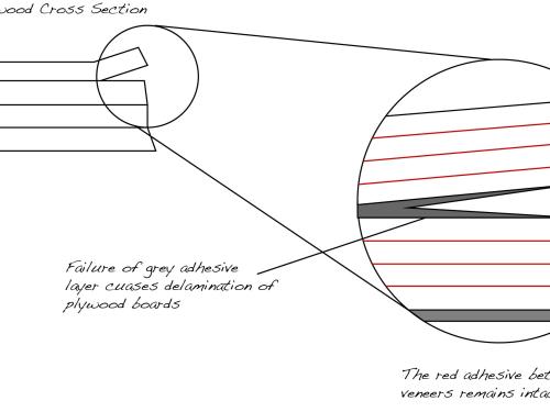 Cross Section of Delaminated Plywood