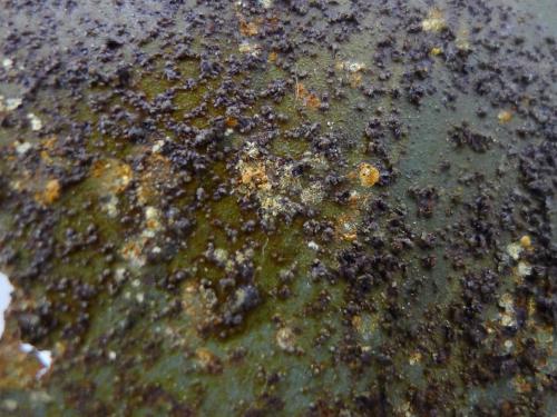 A section of a World War II era aircraft has dirt, grime, and preservatives built up on the surface.