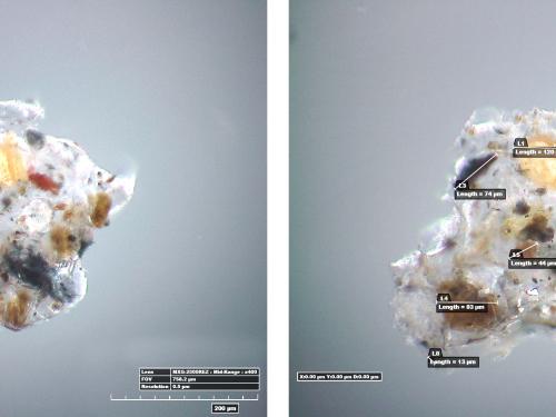 Two microscopic views of one section of adhesive sampled from a World War II era aircraft. Yellow and black inclusions are visible in the sample, and in the right view are labeled with measurements.