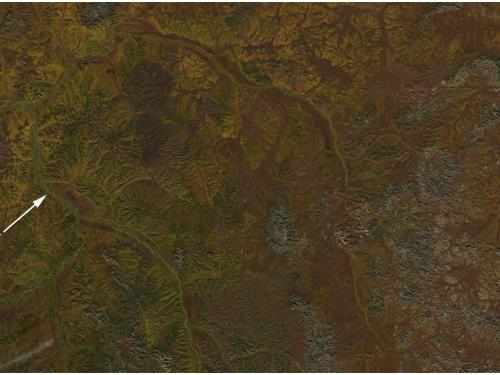 Satellite view of a section of Eastern Siberia, where leaves have begun to change from green to orange, yellow, and red colors as a part of the fall season.