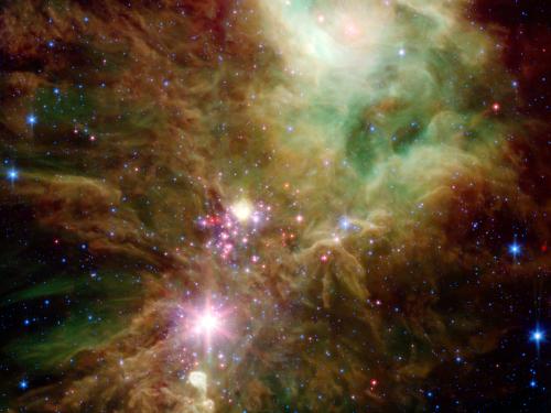 Stellar Snowflake Cluster