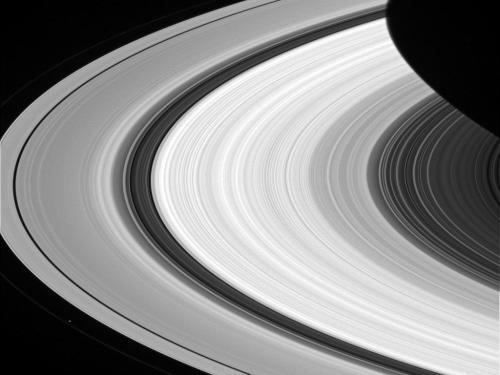 The Rings of Saturn