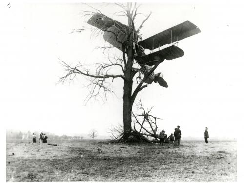 Aftermath of a biplane which has crashed into a tree, with bystanders looking at the damage.