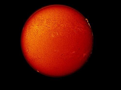 Disk view of the Sun with two prominences of plasma floating above the surface and multiple sunspots.