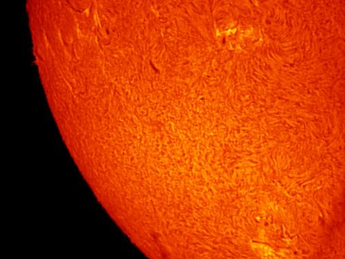 Partial disk view of the Sun highlighting multiple sunspots and prominences of plasma floating above the surface.