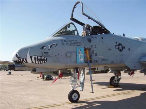 Become a Pilot Day 2012: USAF A-10 "Warthog"